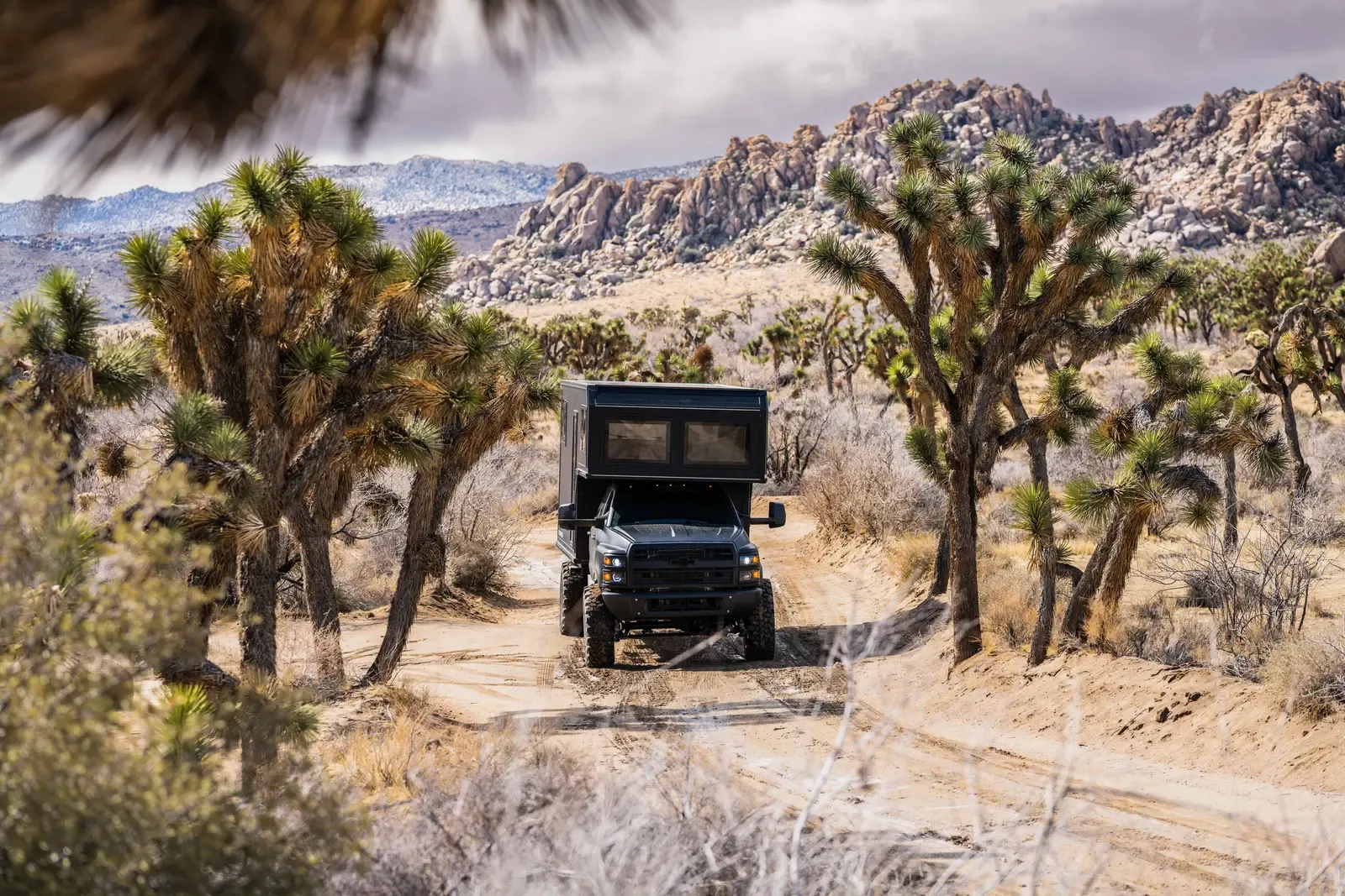 Blacked-out Chevrolet 6500 expedition camper driving a desert track among Joshua trees